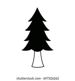 pine tree plant national forest nature switzerland