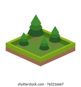 Pine tree of plant nature and botany theme Isolated design Vector illustration