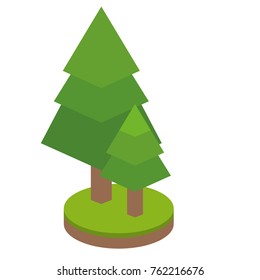 Pine tree of plant nature and botany theme Isolated design Vector illustration