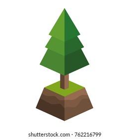 Pine tree of plant nature and botany theme Isolated design Vector illustration