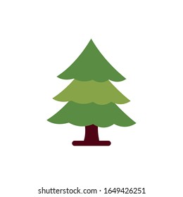 Pinienpflanzennaturbelag mit flachem Vektorillustration-Design