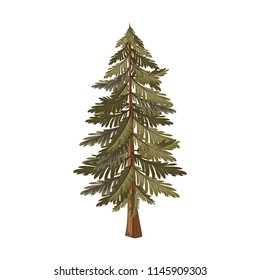 pine tree plant nature icon
