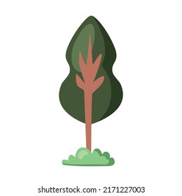 pine tree plant nature icon