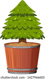 Ein Kiefernbaum auf Topgrafik