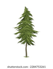 Pine tree in realistic style vector illustration