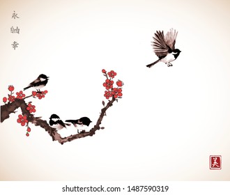 Pine tree, sakura cherry tree in blossom and little black bird on white background. Traditional oriental ink painting sumi-e, u-sin, go-hua. Contains hieroglyphs - zen, freedom, nature, beauty