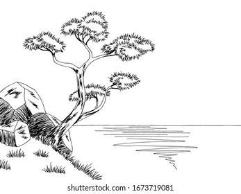 Pine tree sea coast graphic black white landscape sketch illustration vector