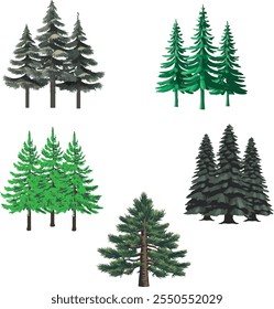 pine tree set vector illustration