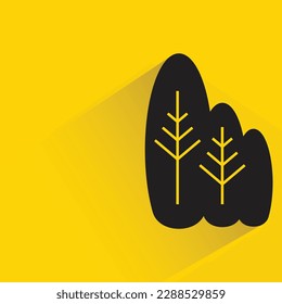 pine tree with shadow on yellow background