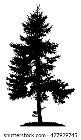 Pine Tree Silhouette