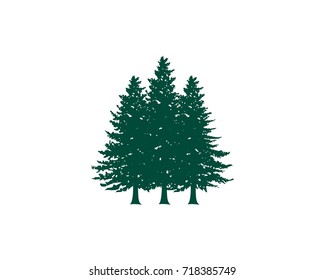 Pine tree silhouette