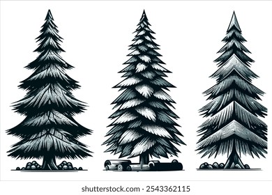 pinheiro silhueta arte ilustração
