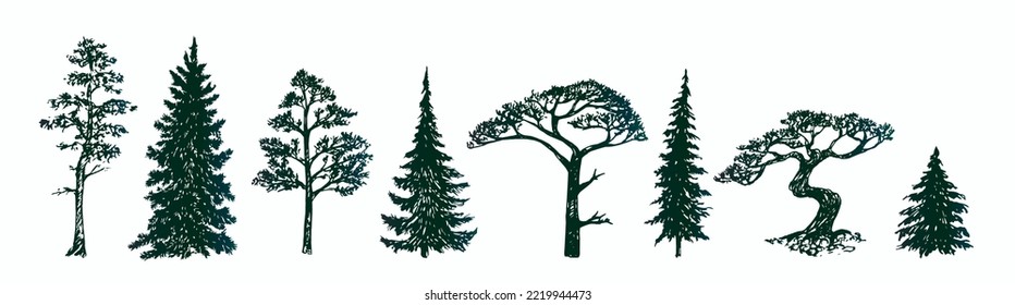 Pine tree silhouette collection, hand drawn doodle sketch, black and white vector illustration