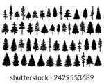 Pine tree silhouette collection on white background.Spruce tree silhouette set on white background