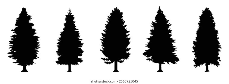 Pine tree silhouette collection on white background. Vector illustrations.