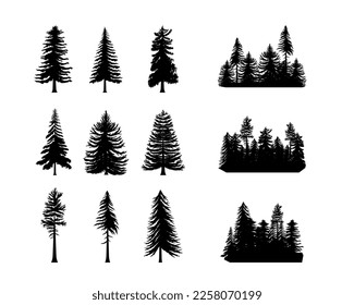 Pine tree silhouette, fir forest. Black and white spruce or cedar logo, vintage coniferous patch. horizontal background taiga pattern and single trees. Monochrome vector icon garish set