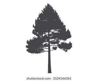 Silueta de pino. elemento de diseño de flora y naturaleza. Imagen de Vector aislada de conífera en estilo simple