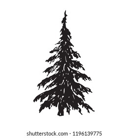 Pine tree silhouette, hand drawn doodle sketch, black and white vector illustration