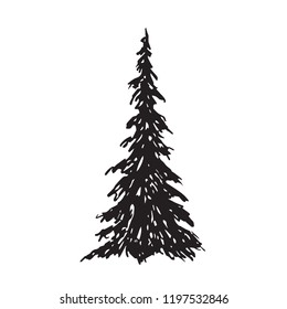 Pine tree silhouette, hand drawn doodle sketch, black and white vector illustration