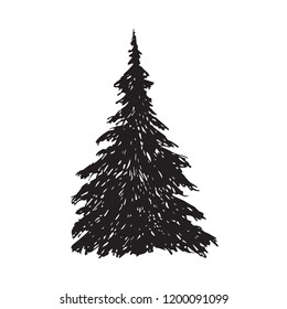 Pine tree silhouette, hand drawn doodle sketch, black and white vector illustration