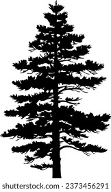 Pine tree silhouette isolated on white background. Vector Illustration.