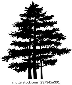 Pine tree silhouette isolated on white background. Vector Illustration.