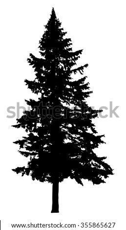 Pine Tree Silhouette Isolated On White Stock Vector (Royalty Free