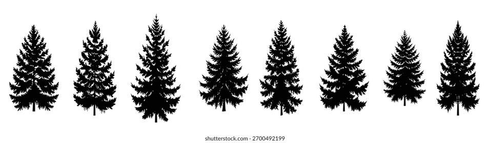 Kiefernbaum Silhouette Set Sammlung immergrünen Baum Designs.