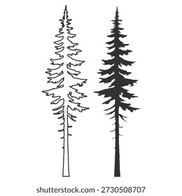 Conjunto de silhueta de pinheiro, conífera evergreen floresta natureza vetor ilustração, abeto abeto natal inverno floresta botanical feriado decoração em fundo transparente
