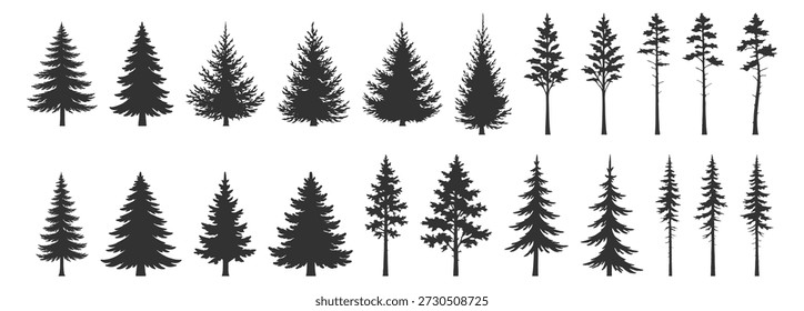 Conjunto de silhueta de pinheiro, conífera evergreen floresta natureza vetor ilustração, abeto abeto natal inverno floresta botanical feriado decoração em fundo transparente
