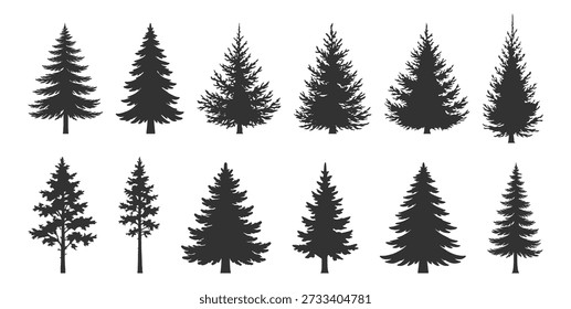 Conjunto de silhueta de pinheiro, conífera evergreen floresta natureza vetor ilustração, abeto abeto natal inverno floresta botanical feriado decoração em fundo transparente
