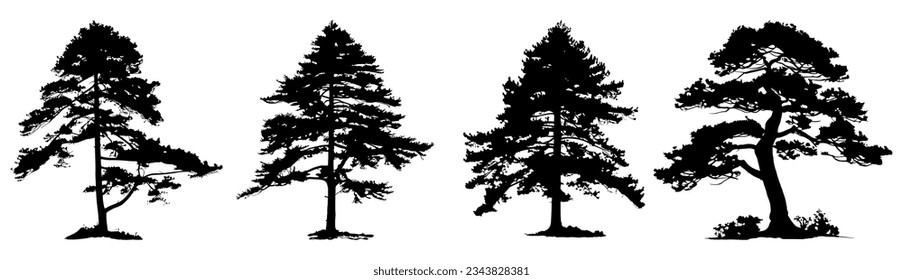 pine tree silhouette set detail illustration