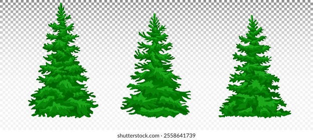 Pine tree silhouette, set. Forest coniferous tree. Evergreen culture. Pine, cedar, spruce. Eps 10