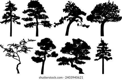Pine tree silhouettes. Illustration isolated on white background.