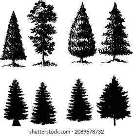 pine tree sketch set, graphic forest hand drawn, isolated vector illustration, black and white silhouette elements 