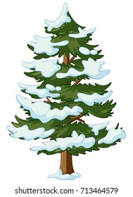Pine tree with snow on it illustration