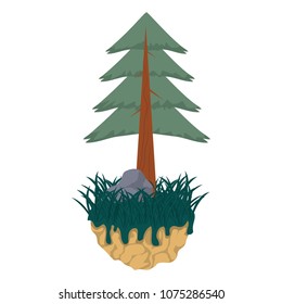 pine tree with stalk and natural grass