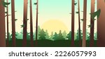 Pine tree trunks. Morning sun. Beautiful nature landscape. Plant view. Cartoon fun style. Flat design. Fir-trees and coniferous trees. Vector.