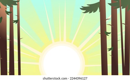 Pine tree trunks. Summer sunrise and rays. Fir-trees and coniferous trees.Beautiful nature landscape. Plant view. Cartoon fun style. Flat design. Vector.