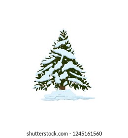 Pine tree under snow icon. Vector.