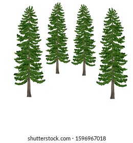 Pine tree vector design like real, using the latest illustration eps 10
