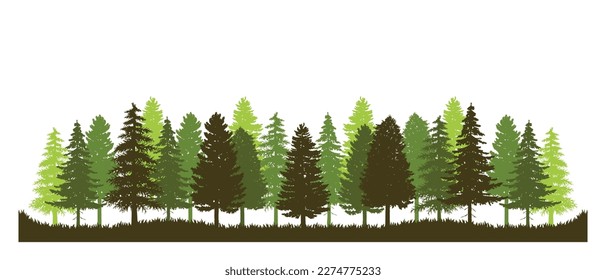 Pine tree vector of forest green nature silhouette landscape background panorama evergreen backdrop