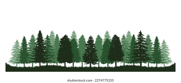 Pine tree vector of forest green nature silhouette landscape background panorama evergreen backdrop