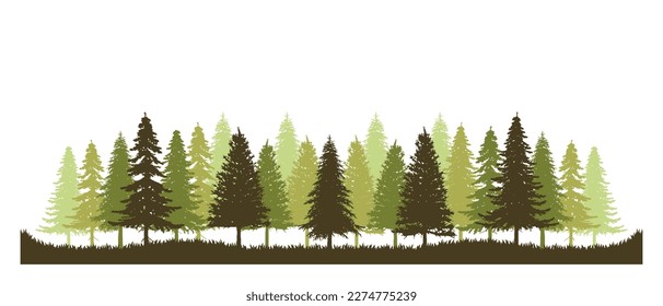 Pine tree vector of forest green nature silhouette landscape background panorama evergreen backdrop