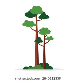 Pine tree vector graphic illustration of tall forest woods in flat design style