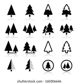 Pine tree vector icons set 