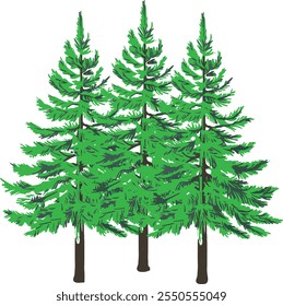 pine tree vector in illustration