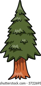 Pine Tree Vector Illustration