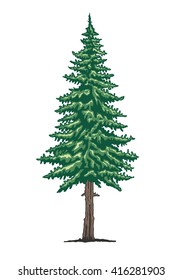 Pine Tree Vector Illustration