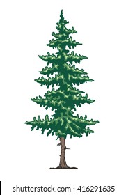 Pine Tree Vector Illustration